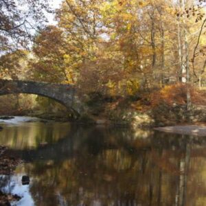 The Packhorse Bridge