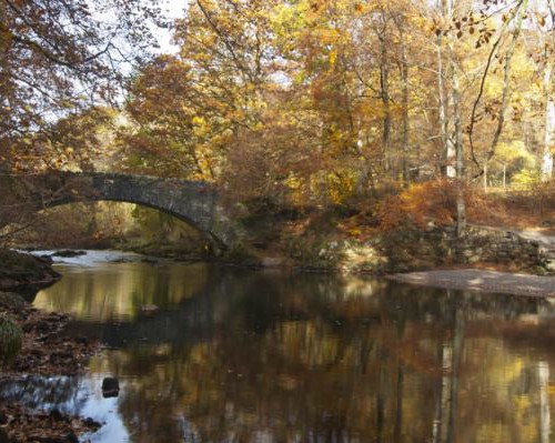 The Packhorse Bridge