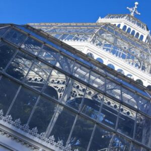 The Palm House close-up