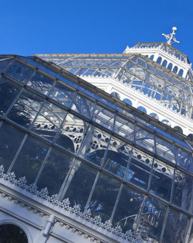 The Palm House close-up